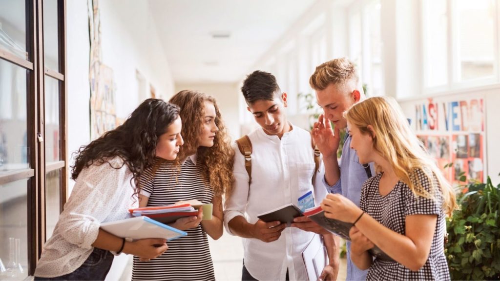 GrEnFIn academic partners